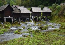 Turkish Culture Beauty Charity and Changing Times