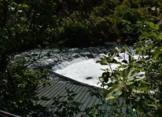 A Misunderstanding About the Monastery