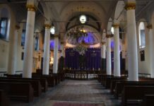 The River Sava and Its Long Course